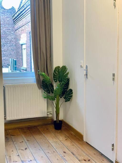 Maison 3 Chambres - 600M Metro Marbrerie - Lille モン＝ザン＝バルール エクステリア 写真